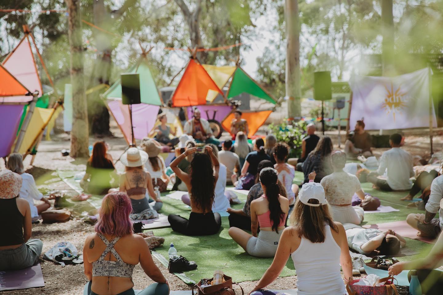 A festival crowd gathering for a shared outdoor experience